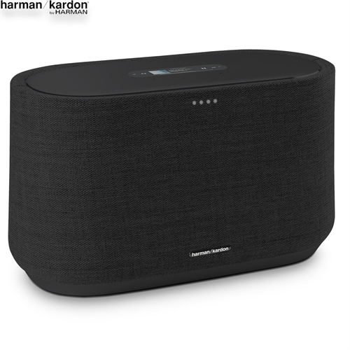 Loa Harman Kardon Citation 300 11
